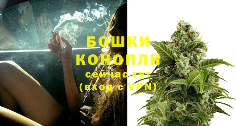 Конопля SATIVA & INDICA  Туринск 